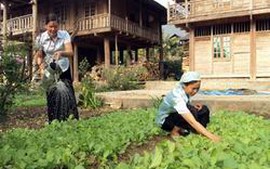 Phát triển kinh tế xã hội vùng tái định cư thủy điện Sơn La